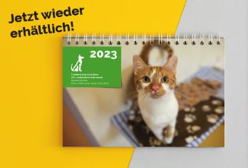 Kalender 2023